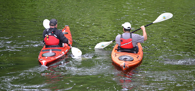 Paddle Paddle