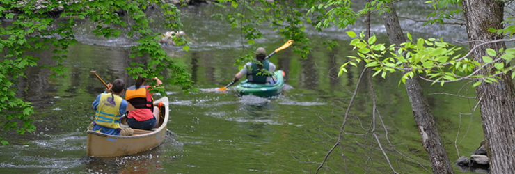 Paddle Paddle