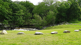 Park Main Park Main